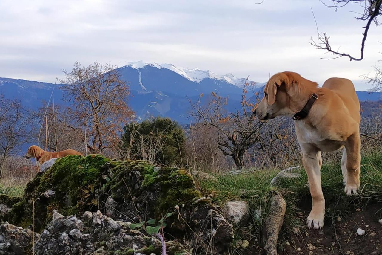 Orias Guesthouse & Farm Kalavryta Buitenkant foto
