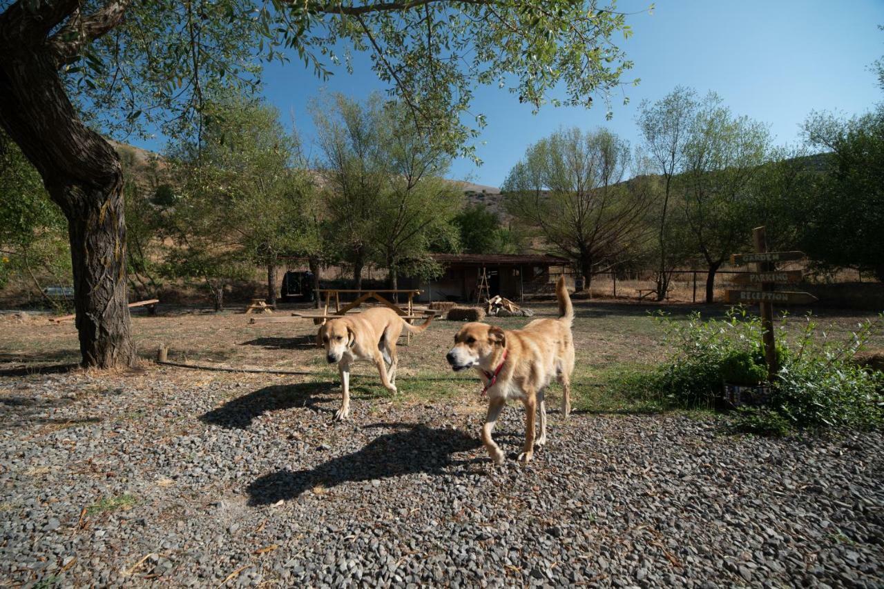 Orias Guesthouse & Farm Kalavryta Buitenkant foto
